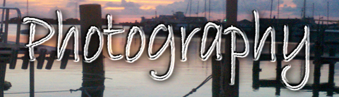 photography header