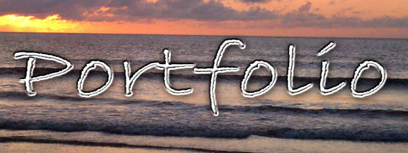 portfolio header