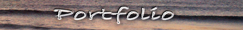 portfolio header small