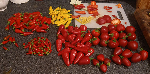 batch 3